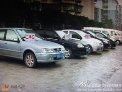 綠化道變經(jīng)營(yíng)地，宜賓翠柏大道的“后臺(tái)”之謎